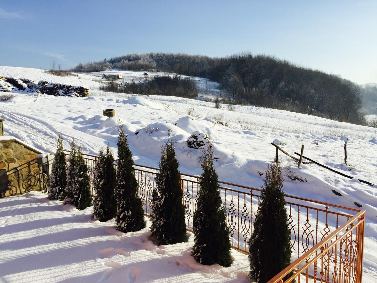 Mini Hotel Solnce Karpat Polyana  Extérieur photo